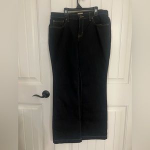 Gap Women's Long and Lean Flared Denim Jeans Size 12/31R